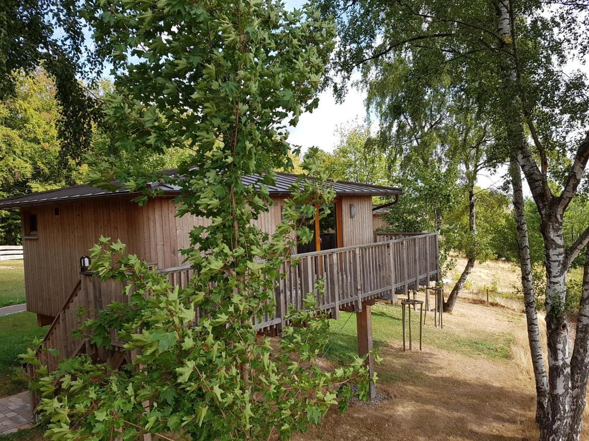 Hotel Waldquelle - Baumhaushotel Aerzen Екстер'єр фото