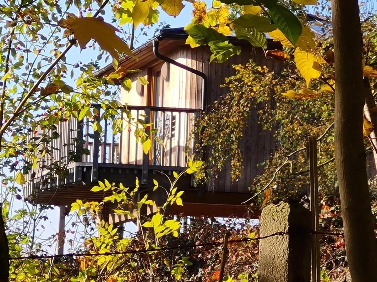 Hotel Waldquelle - Baumhaushotel Aerzen Екстер'єр фото