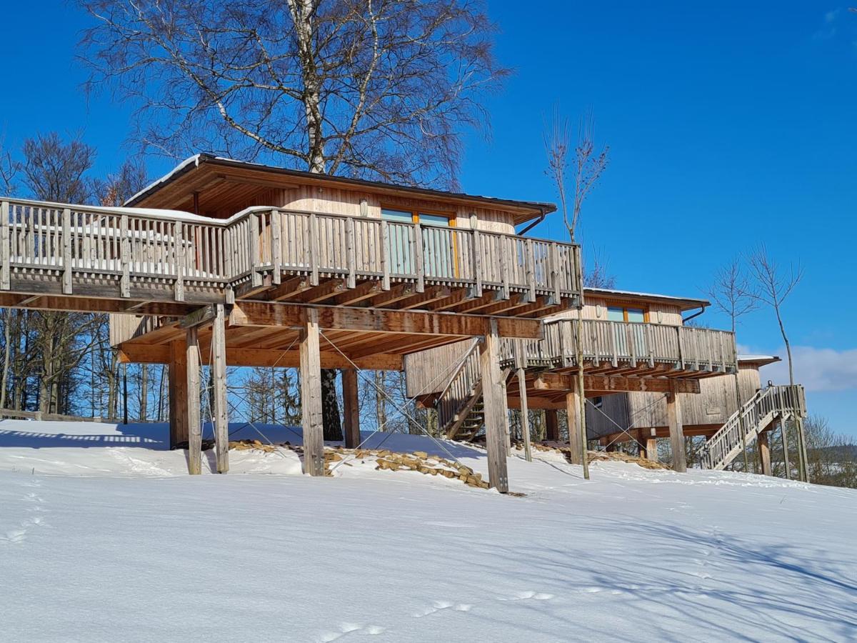 Hotel Waldquelle - Baumhaushotel Aerzen Екстер'єр фото