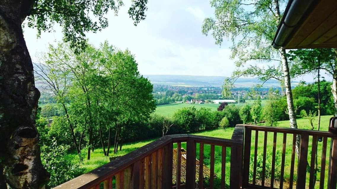 Hotel Waldquelle - Baumhaushotel Aerzen Екстер'єр фото